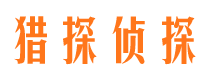 温宿市调查公司